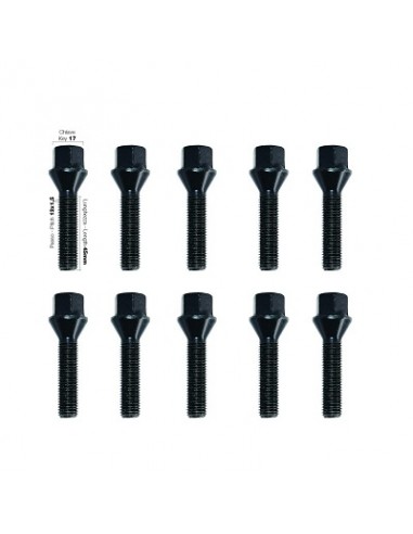 10 tornillos negros cap.17 12x1,5 l.45mm