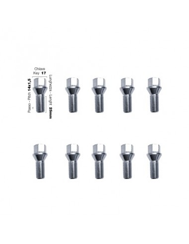 10 tornillos cap.17 14x1,5 l.25mm