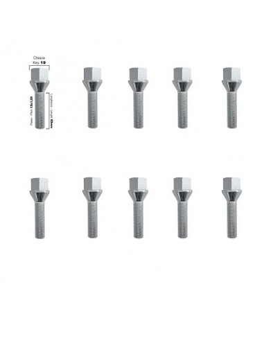 10 tornillos cap.19 12X1,25 l.42mm