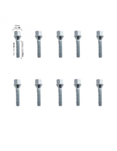 10 tornillos cap.19 12x1,25 l.55mm